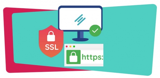 ssl succesfactor website webshop
